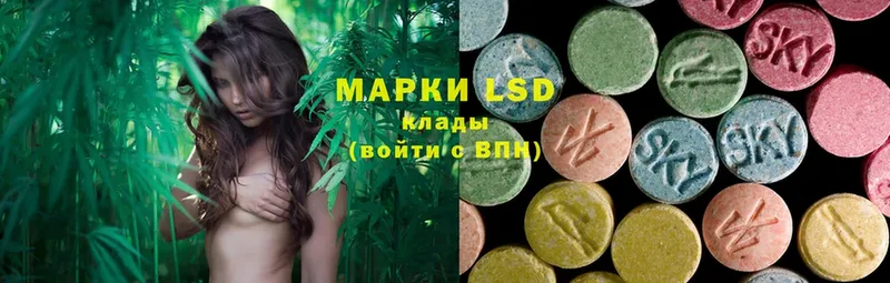 LSD-25 экстази ecstasy  Новоульяновск 