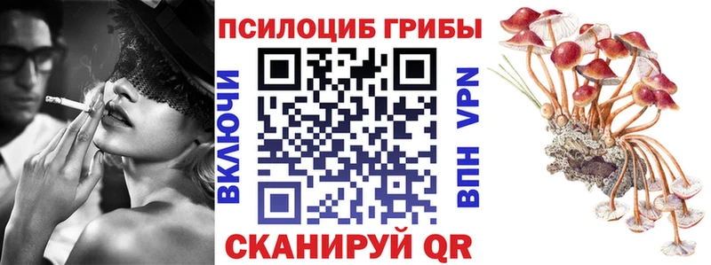 Псилоцибиновые грибы Psilocybine cubensis  Новоульяновск 